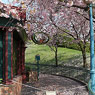 Disneyland Railroad Fantasyland Station